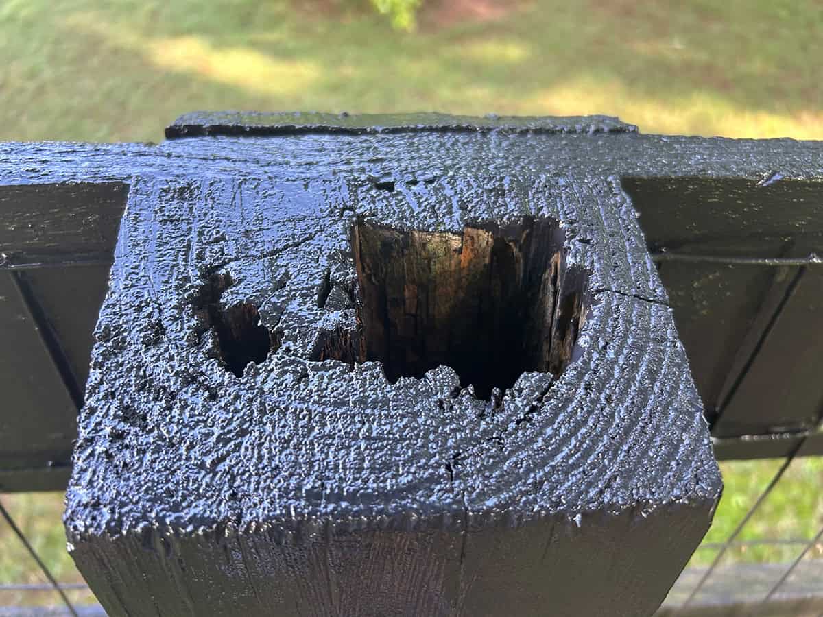 wood rot on fence post top